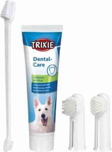 Lee más sobre el artículo <a href="https://amazon.es/dp/B000V9AZUU?tag=techbeautydeals-21" target="_blank">Set dental para perros, incluye cepillo y pasta especializada.</a>