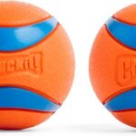Lee más sobre el artículo <a href="https://amazon.es/dp/B000F4AVPA?tag=techbeautydeals-21" target="_blank">Pelotas duraderas y flotantes, perfectas para jugar con perros.</a>