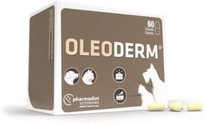 Lee más sobre el artículo <a href="https://amazon.es/dp/B00O4AO25Q?tag=techbeautydeals-21" target="_blank">Suplemento nutricional para piel, refuerza salud y bienestar general.</a>