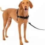 Lee más sobre el artículo <a href="https://amazon.es/dp/B00600YMDK?tag=techbeautydeals-21" target="_blank">Arnés sin tirones para perros, ideal para entrenar y pasear.</a>