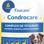 Lee más sobre el artículo <a href="https://amazon.es/dp/B0DWH62JPM?tag=techbeautydeals-21" target="_blank">Resume el contenido de Chondroprotector Dogs 180 Capsules (6 Months) Collagen Magnesium and Calcium, Joint Maintenance, Glucosamine, Chondroitin, Turmeric, Vitality Complex for Mobility, Bones, Flavored Capsules en español y en sólo 10 palabras</a>