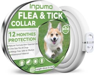 Lee más sobre el artículo <a href="https://amazon.es/dp/B0F1FMB6V6?tag=techbeautydeals-21" target="_blank">Resume el contenido de Anti-parasitic Dog Collar, Safe and Effective Flea Made of 100% Essential Oils, 12 Months of Natural Anti-worming Collars Waterproof Dogs Adjustable (1pcs) en español y en sólo 10 palabras</a>