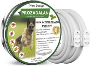 Lee más sobre el artículo <a href="https://amazon.es/dp/B0858XBY37?tag=techbeautydeals-21" target="_blank">Resume el contenido de New Design – Anti-parasitic Collars for Dogs, Effective Anti-Parasitic Collar for Dogs Against Fleas and Ticks, 25 Inch Adjustable and Waterproof for Small, Medium and Large Pets en español y en sólo 10 palabras</a>