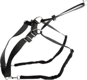 Lee más sobre el artículo <a href="https://amazon.es/dp/B000XD4G36?tag=techbeautydeals-21" target="_blank">Resume el contenido de MAXI LEADER Training Harness Size 3, Black en español y en sólo 10 palabras</a>