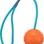 Lee más sobre el artículo <a href="https://amazon.es/dp/B00095862K?tag=techbeautydeals-21" target="_blank">Resume el contenido de Trixie 3305 Natural Rubber Ball with Rope Diameter 6/30 cm en español y en sólo 10 palabras</a>