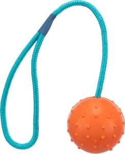 Lee más sobre el artículo <a href="https://amazon.es/dp/B00095862K?tag=techbeautydeals-21" target="_blank">Resume el contenido de Trixie 3305 Natural Rubber Ball with Rope Diameter 6/30 cm en español y en sólo 10 palabras</a>