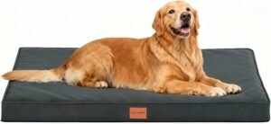 Lee más sobre el artículo <a href="https://amazon.es/dp/B0DCJKCTT7?tag=techbeautydeals-21" target="_blank">Resume el contenido de WAVVE Orthopaedic Extra Large Dog Bed, 112 x 81 x 7.5 cm, Removable Dog Mattress, Waterproof Washable Unbreakable Dog Bed, Can Bed with Egg Box, Dog Bed, XL, Grey en español y en sólo 10 palabras</a>