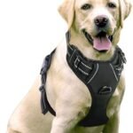 Lee más sobre el artículo <a href="https://amazon.es/dp/B01M8JT6FT?tag=techbeautydeals-21" target="_blank">Resume el contenido de rabbitgoo Dog Harness Large Medium Small Harness Chest Anti Pull Dogs Car with Reflective Lines Comfortable Breathable Adjustable Padded Vest for Training Running Black Large Size en español y en sólo 10 palabras</a>