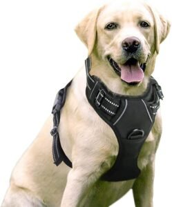 Lee más sobre el artículo <a href="https://amazon.es/dp/B01M8JT6FT?tag=techbeautydeals-21" target="_blank">Resume el contenido de rabbitgoo Dog Harness Large Medium Small Harness Chest Anti Pull Dogs Car with Reflective Lines Comfortable Breathable Adjustable Padded Vest for Training Running Black Large Size en español y en sólo 10 palabras</a>