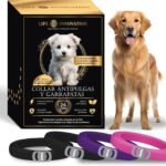 Lee más sobre el artículo <a href="https://amazon.es/dp/B0DRGHKG7C?tag=techbeautydeals-21" target="_blank">Resume el contenido de Pack of 4 Anti-Parasitic Collars for Dogs, 24 Months Protection Against Fleas, Ticks and Mosquitoes – 100% Natural, Waterproof, Adjustable, for All Sizes. en español y en sólo 10 palabras</a>