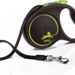 Lee más sobre el artículo <a href="https://amazon.es/dp/B08DMJMJ6Q?tag=techbeautydeals-21" target="_blank">Resume el contenido de Flexi Black Design M Ribbon 5 m (Green) en español y en sólo 10 palabras</a>